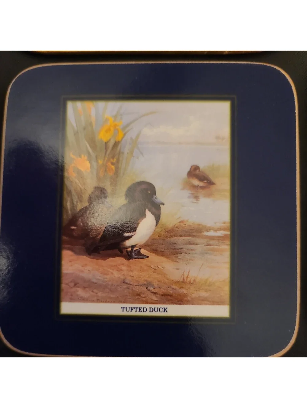 Vintage Cloverleaf Coasters Thorburn's Diving Ducks  Set of 6 Made in the UK